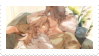 Untitled524 20251206140045
