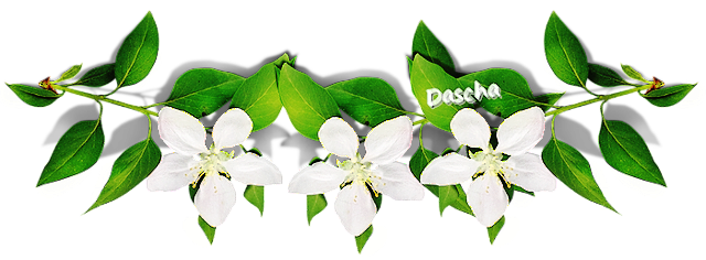 4.L bílá 2 sp