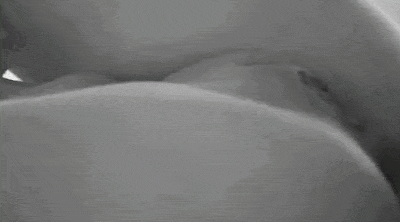 [Image: bIBlH.gif]