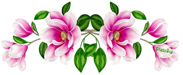 7. pink 1 vr