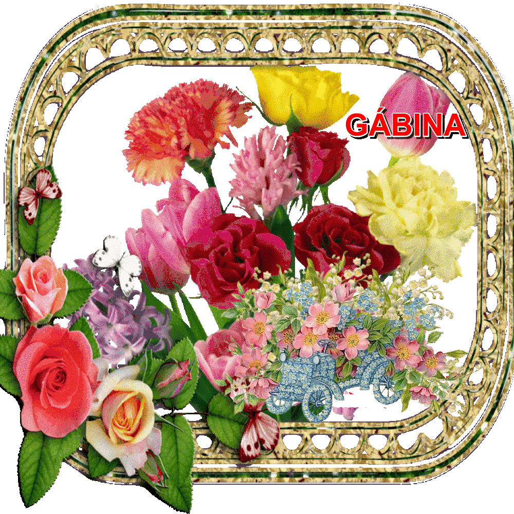 GABINA