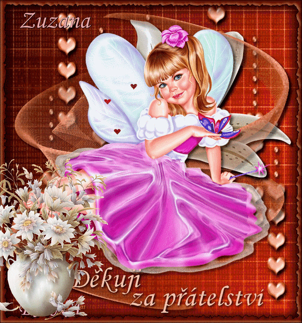 zuzana ted