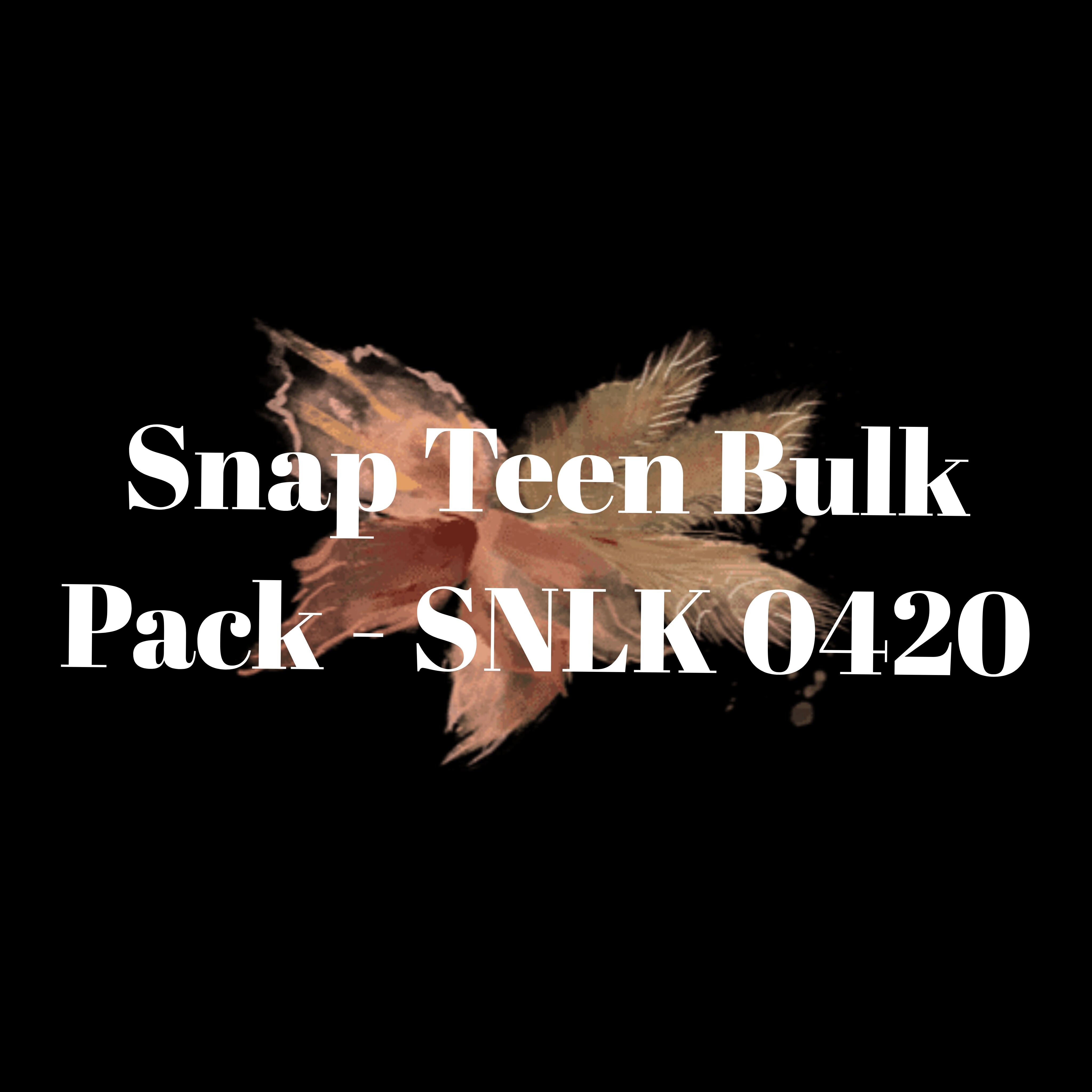 Snap Teen Bulk Pack - SNLK 0420