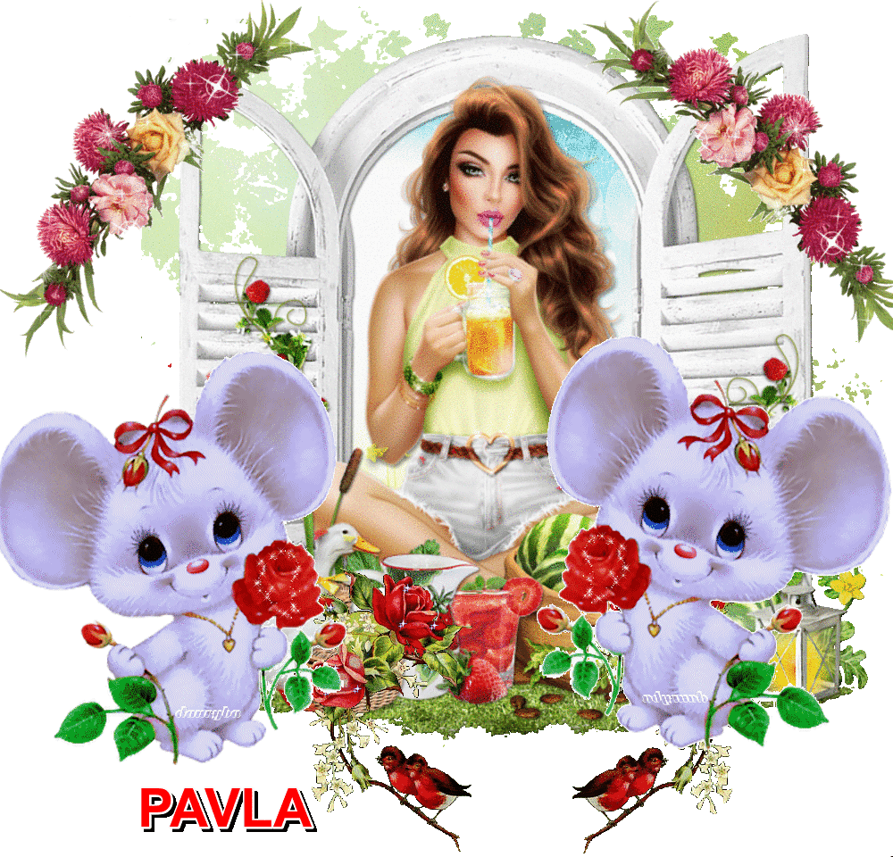 PAVLA (6)