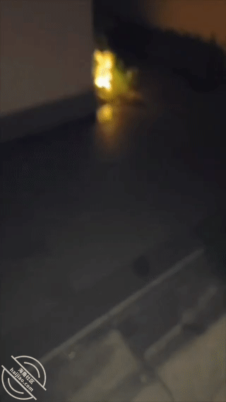 GIF Image