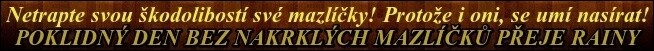 gGhVU7z8fZxI