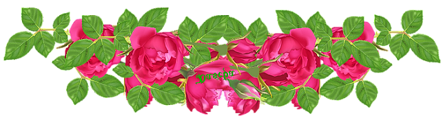 4.L červená 2 sp