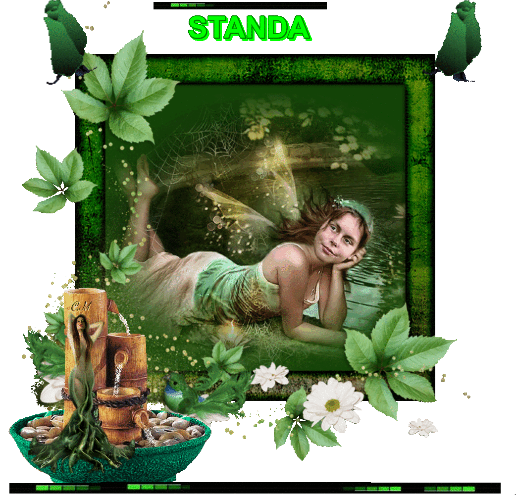 STANDA