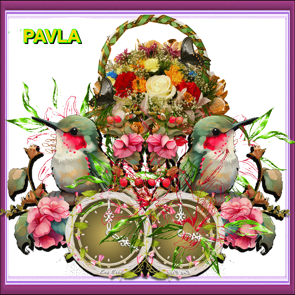 PAVLA (24)