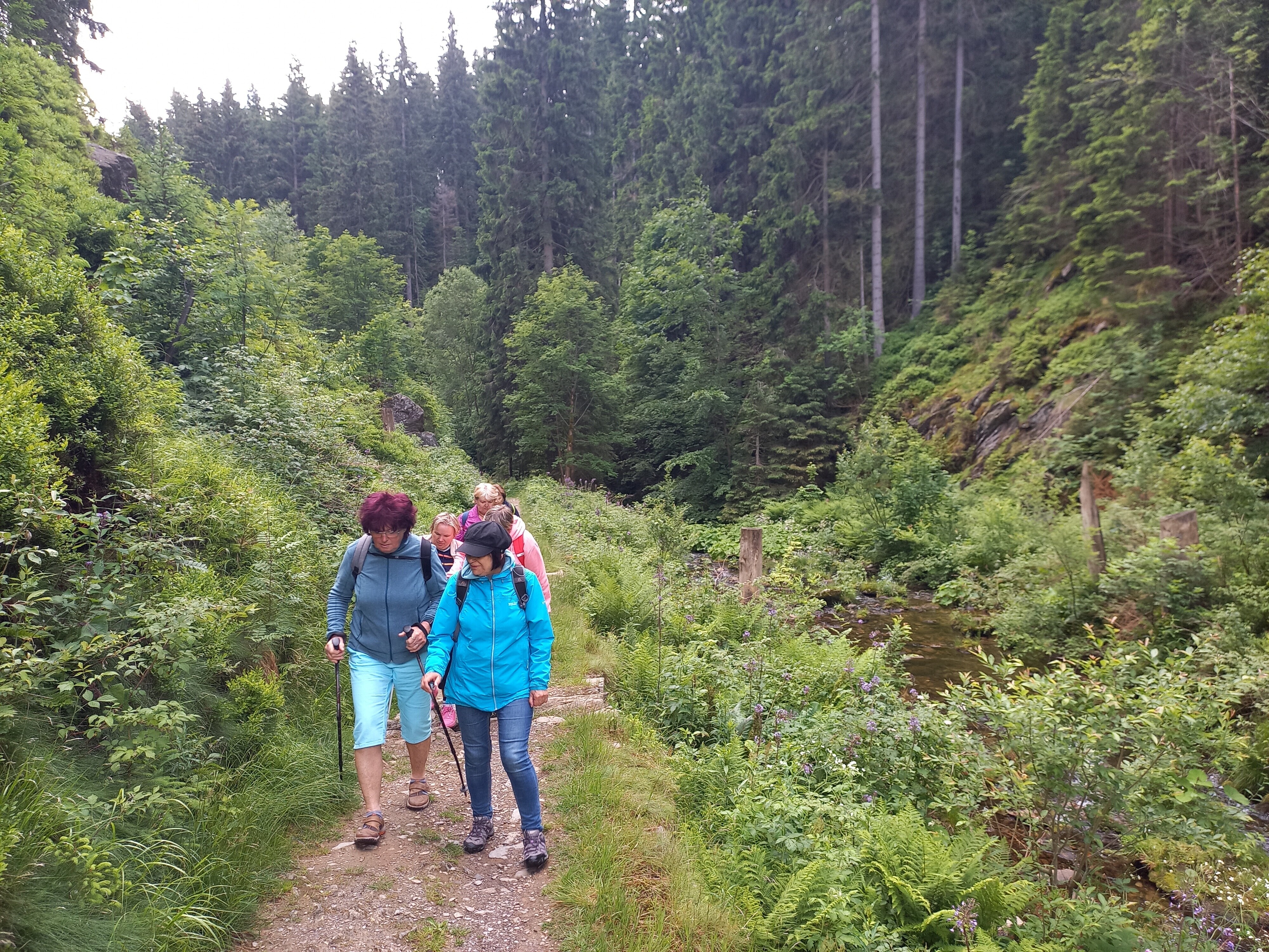 Turistika Jeleni louky PFO1077 27385