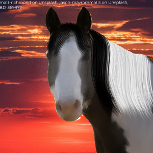 Golden Sun Stables Avi Com