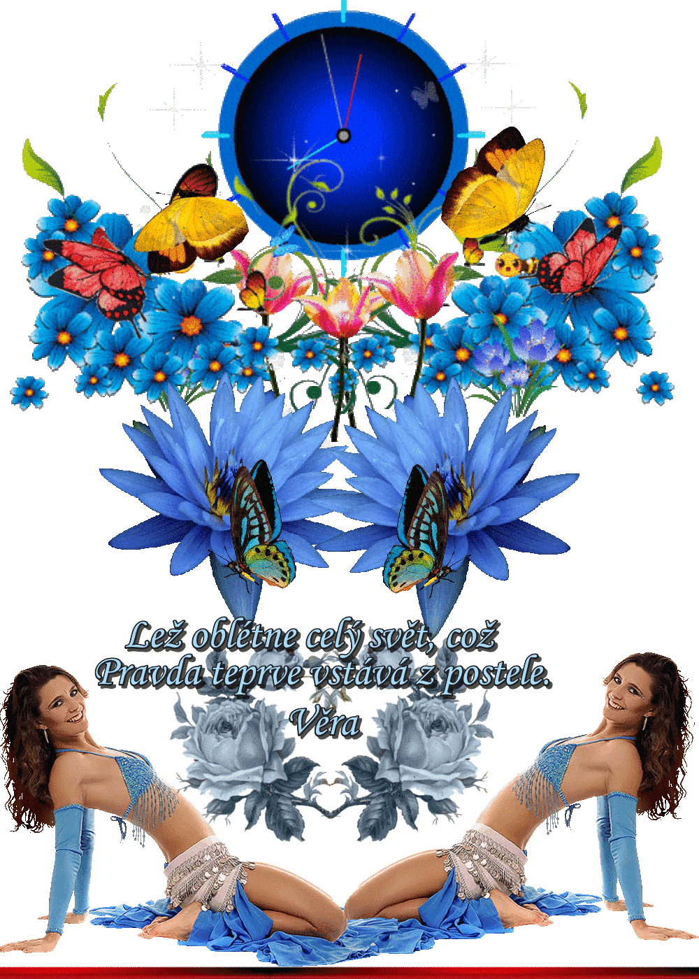 a4983bve1s9