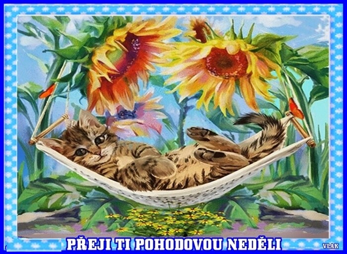 An den Beitrag angehängtes Bild: https://s13.gifyu.com/images/bImA0.jpg