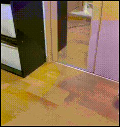 gRryak8QFWUb