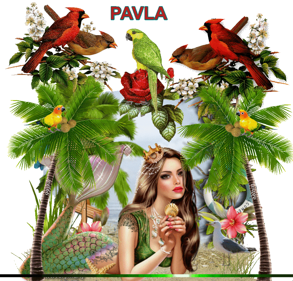 pavla (8)
