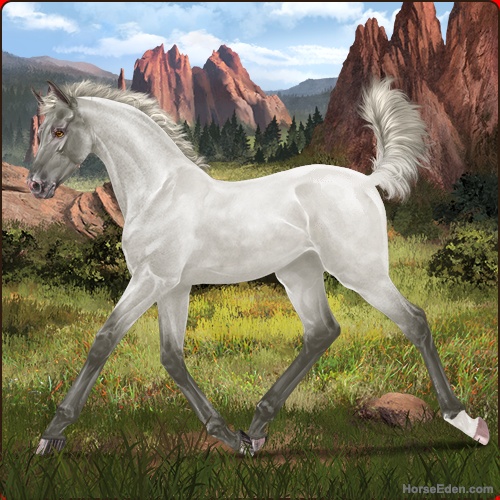 Moonstone Amore