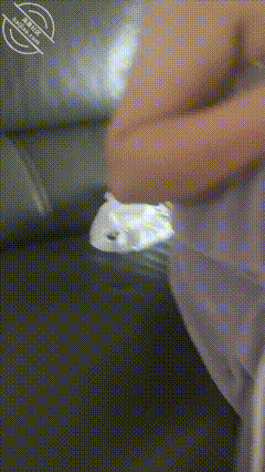 GIF Image