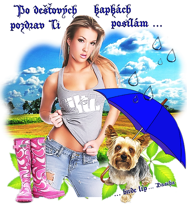 4. pozdr