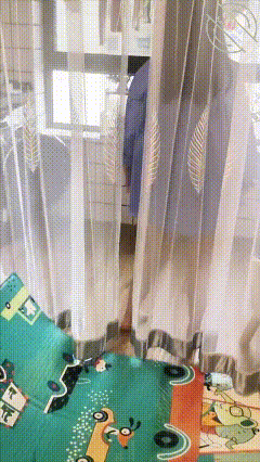 GIF Image