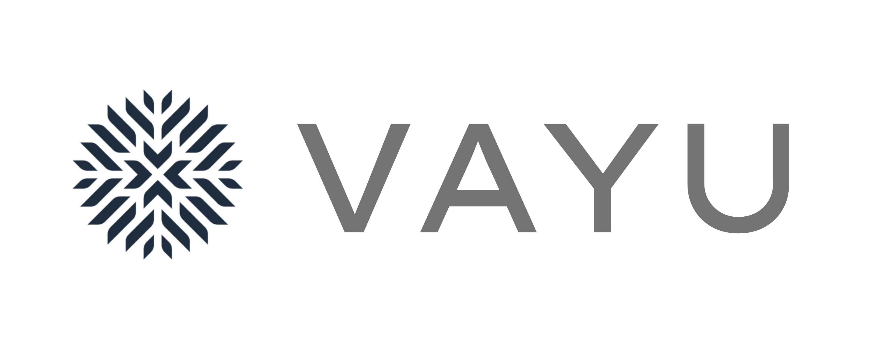 Vayu Coaching