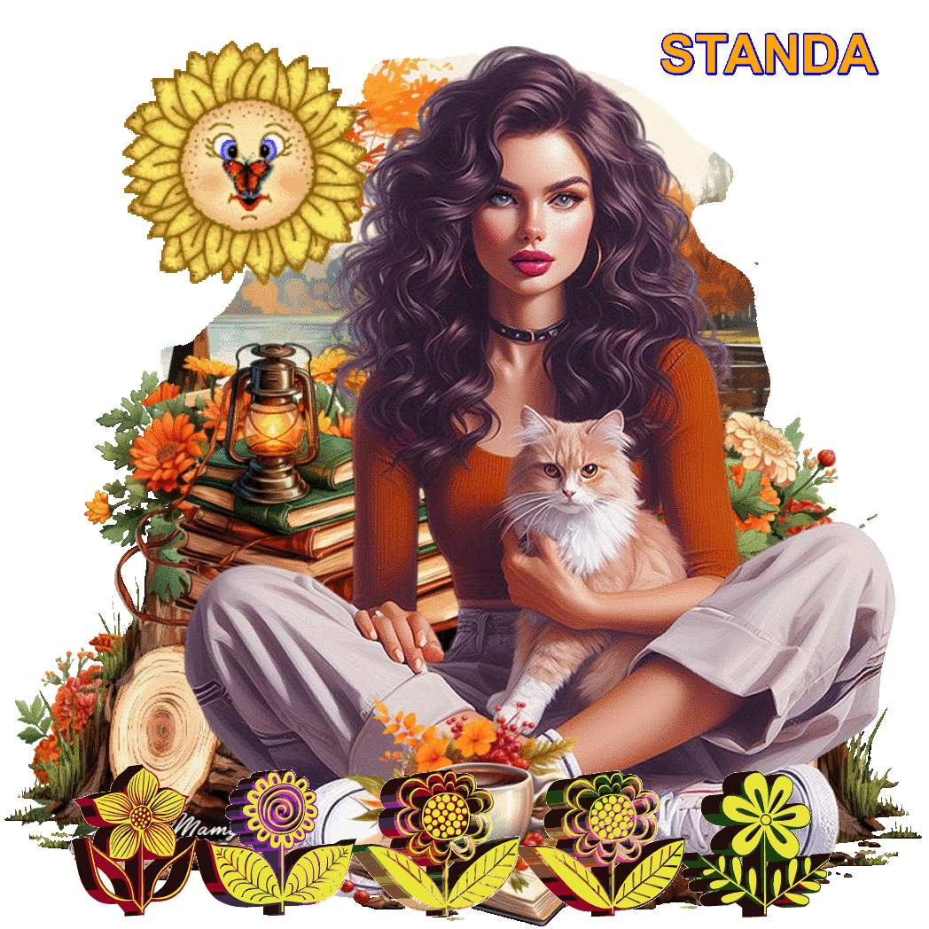 STANDA DNES