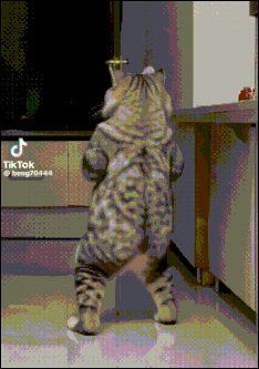 iifTz83T2cI4