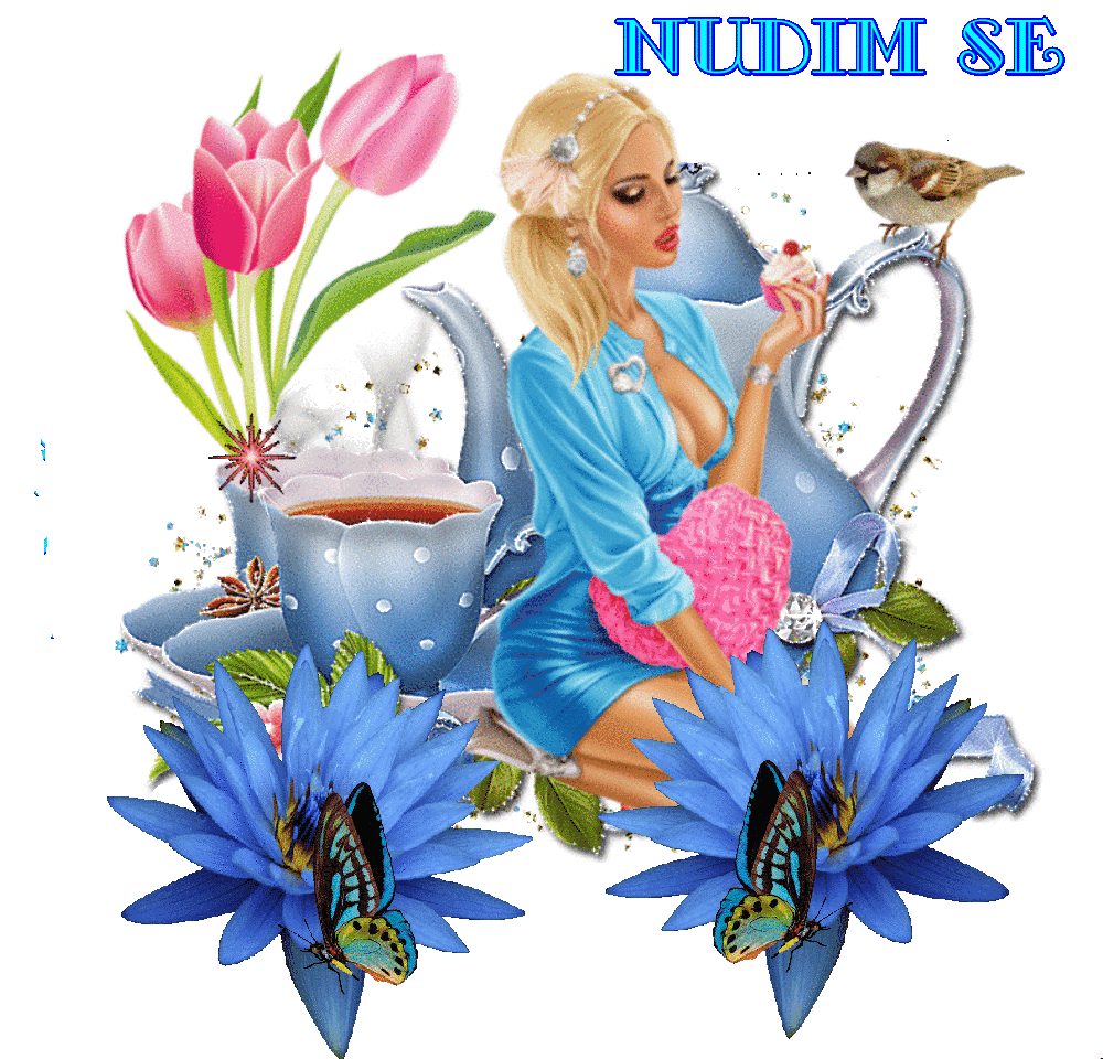 NUDIM SE