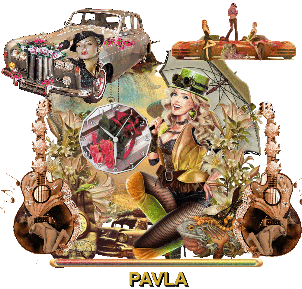 PAVLA (6)
