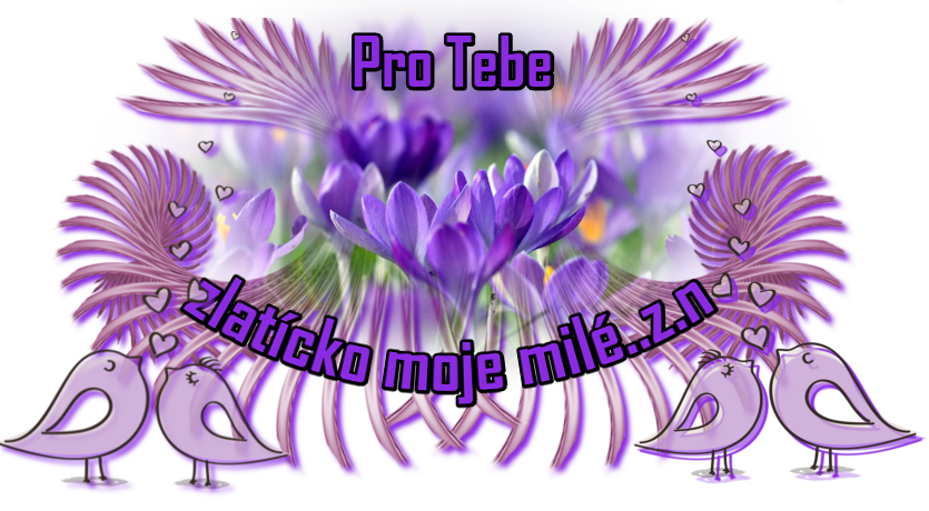 bIzem.png