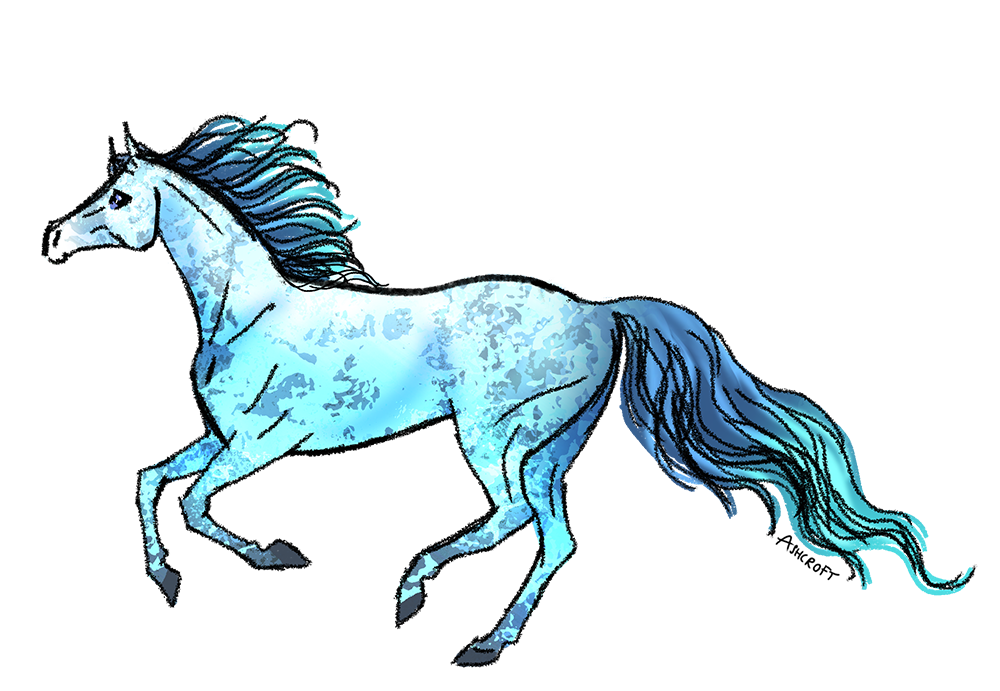 A crystal blue white horse with a manchado pattern.