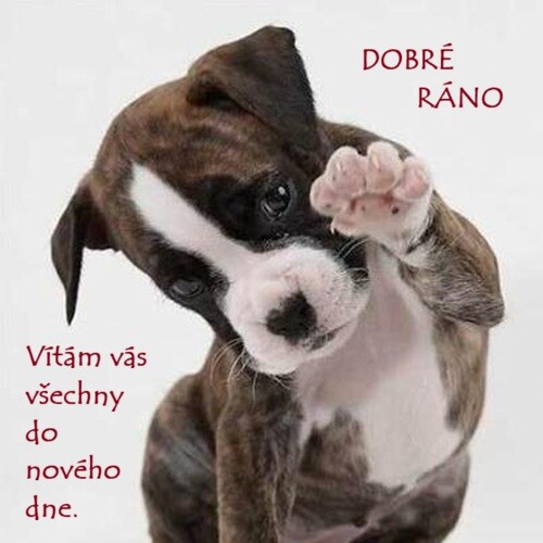 rj2linmdax9