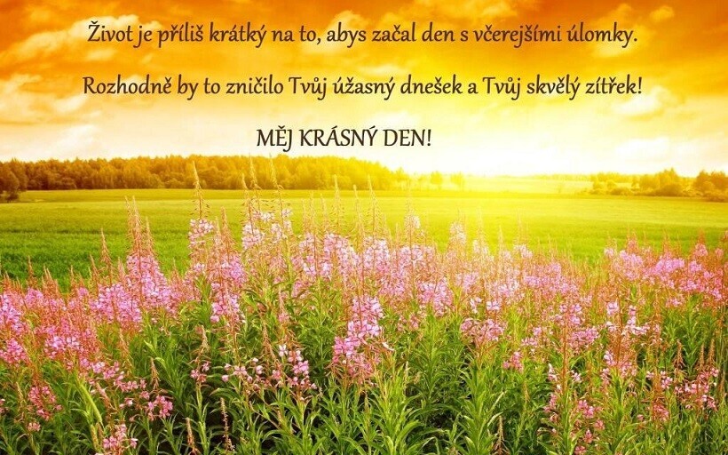 8qmkv1j68v5giiccqqmo