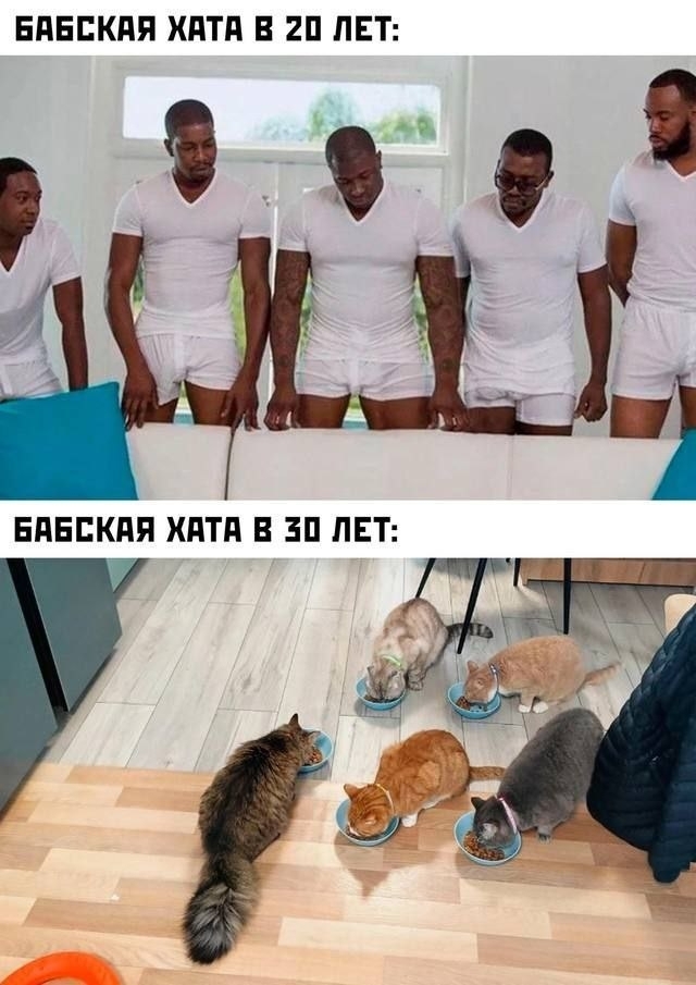 bd6hX.jpg