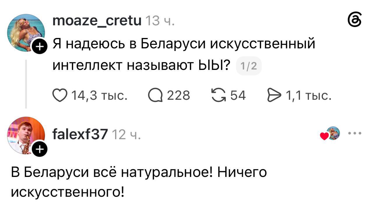 bd6hg.jpg