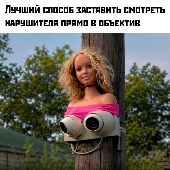 bd6hr.jpg