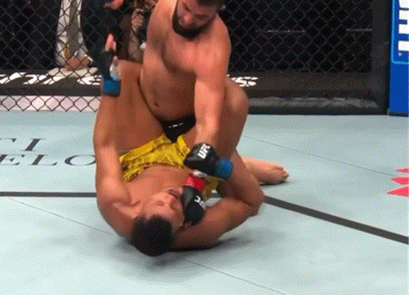 bdFU4.gif