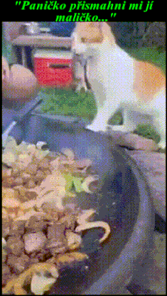 ezgif 536949e6b2d855d7