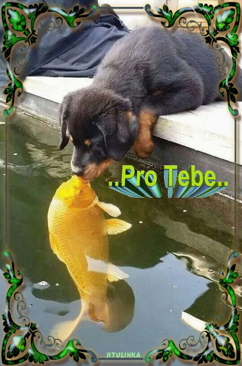 pro Tebe...