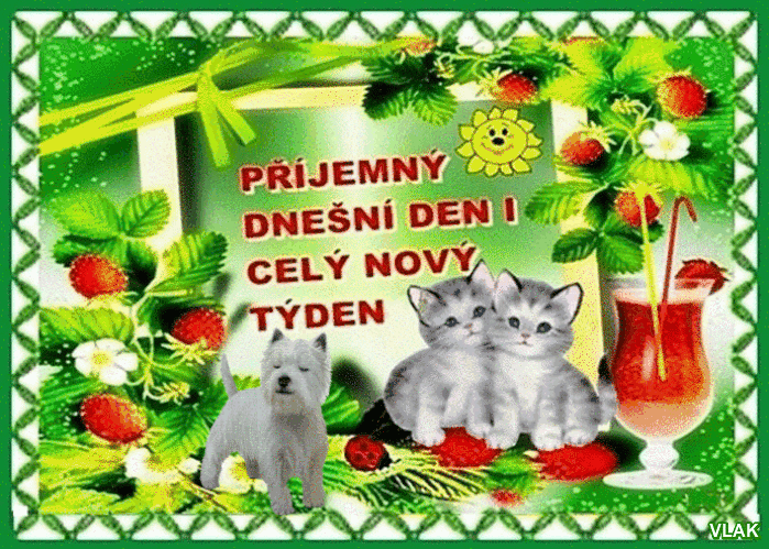 An den Beitrag angehängtes Bild: https://s13.gifyu.com/images/bdNQi.gif