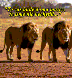 nUeUKSqfdRqL