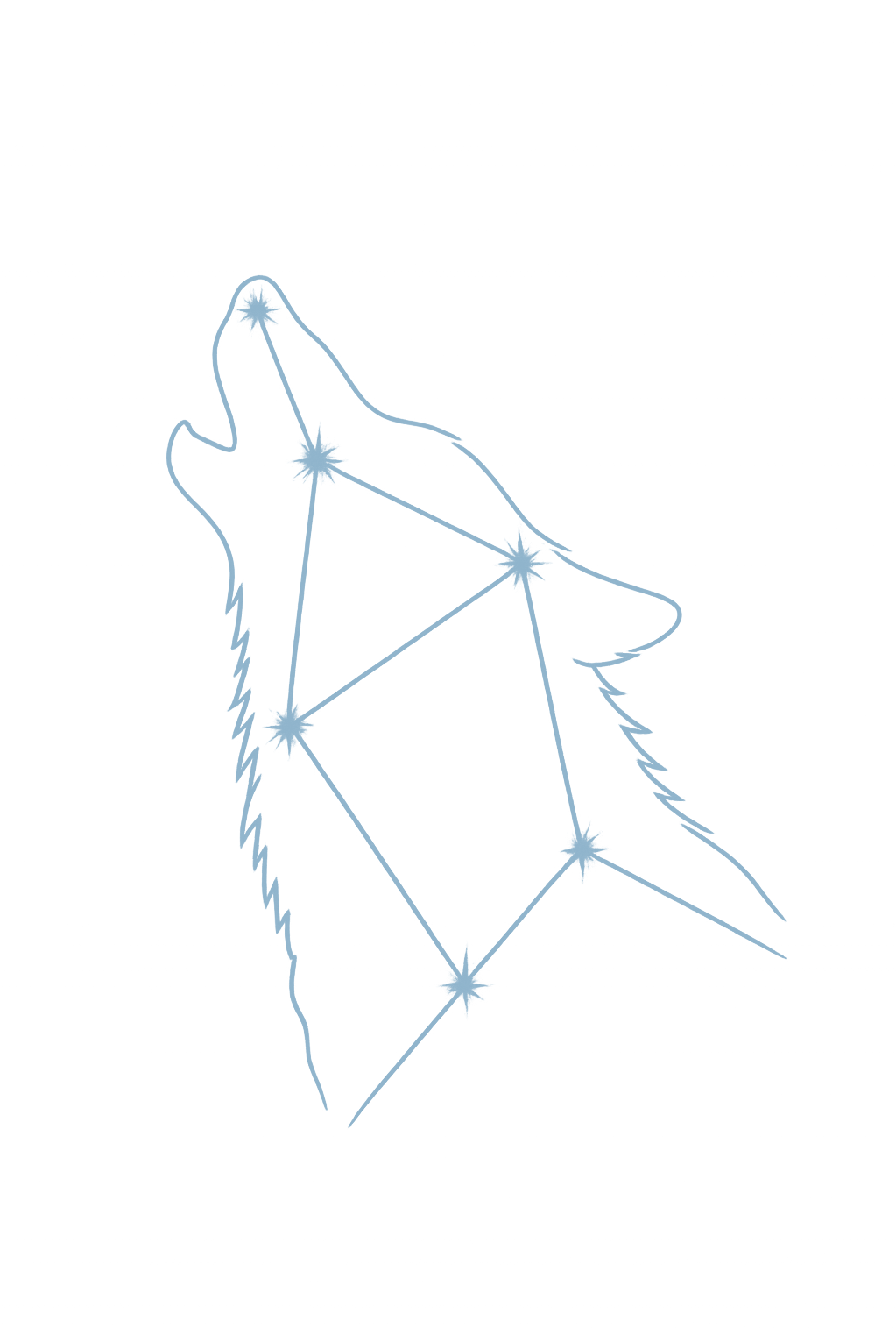 Wolf-Sternbild