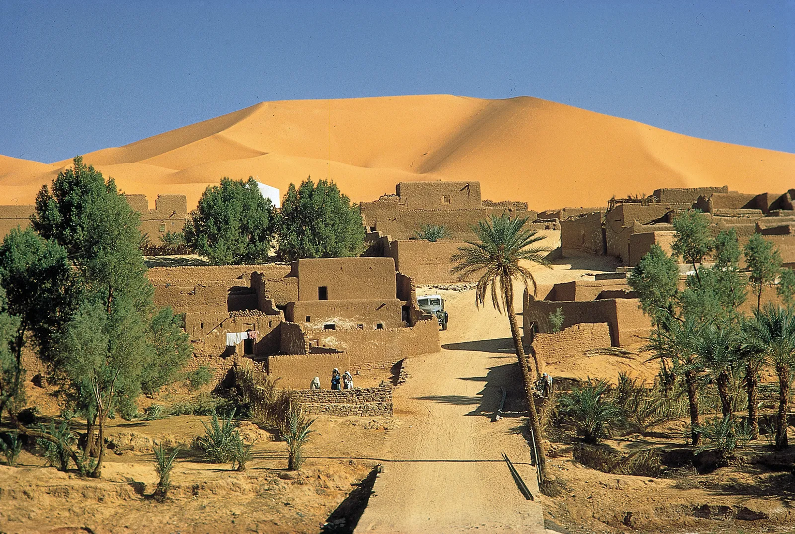 oasis Kerzaz Wadi Saoura Algeria western Sahara
