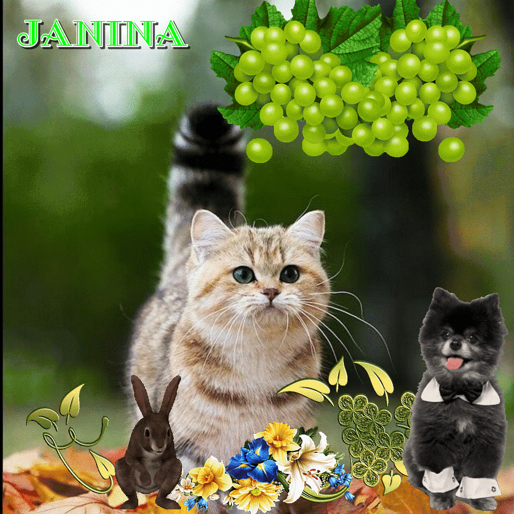 JANICKA