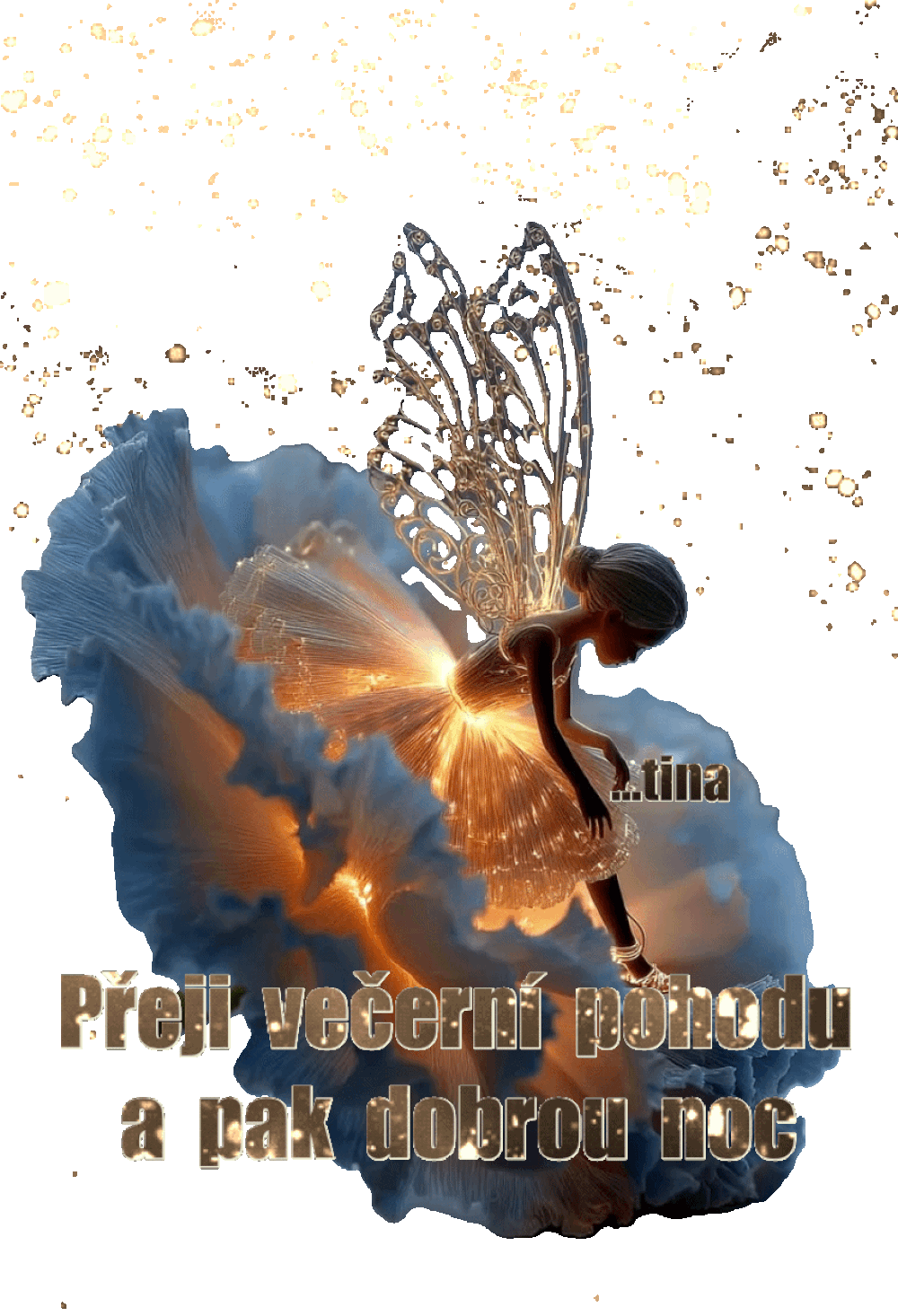 VPDN