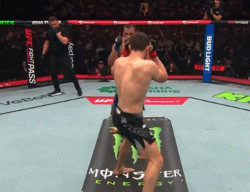 bdjiY.gif