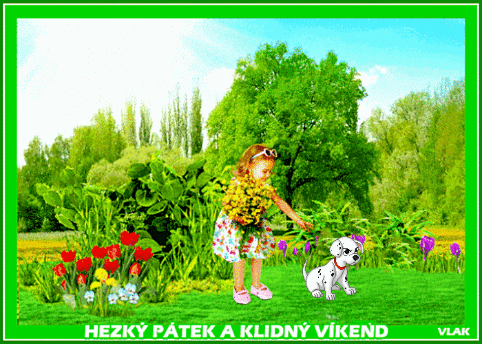 An den Beitrag angehängtes Bild: https://s13.gifyu.com/images/bdmNY.gif