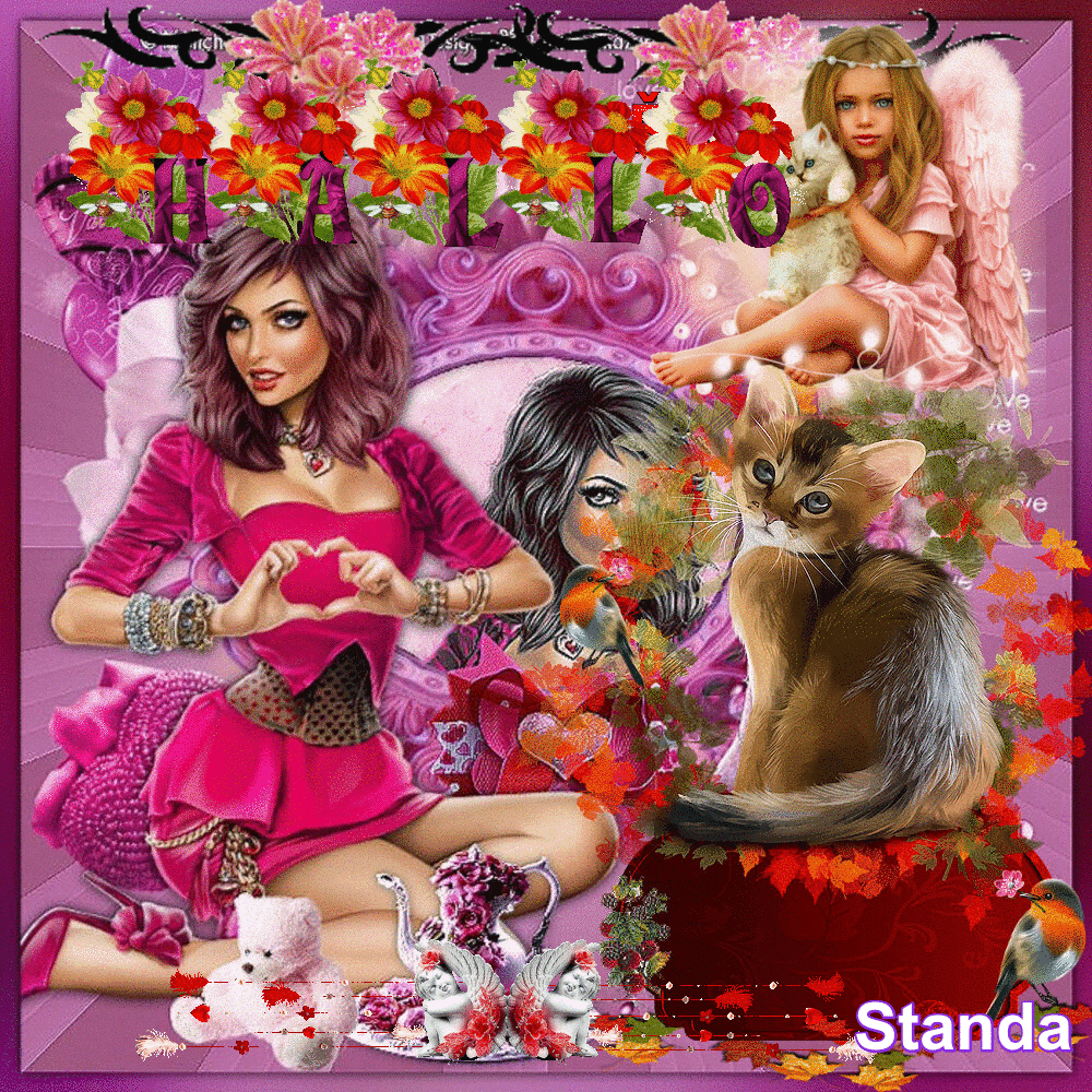 STANDA