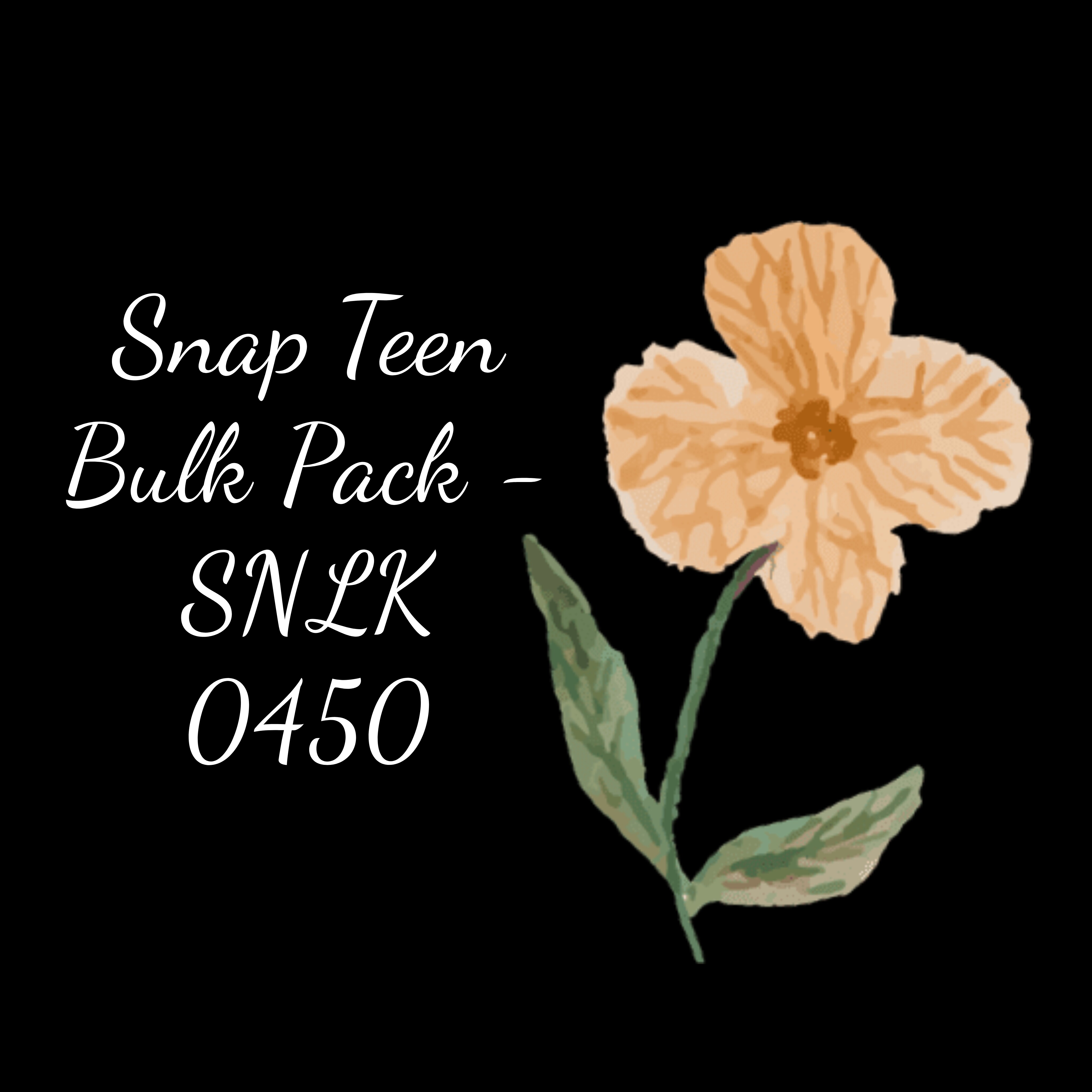 Snap Teen Bulk Pack - SNLK 0450