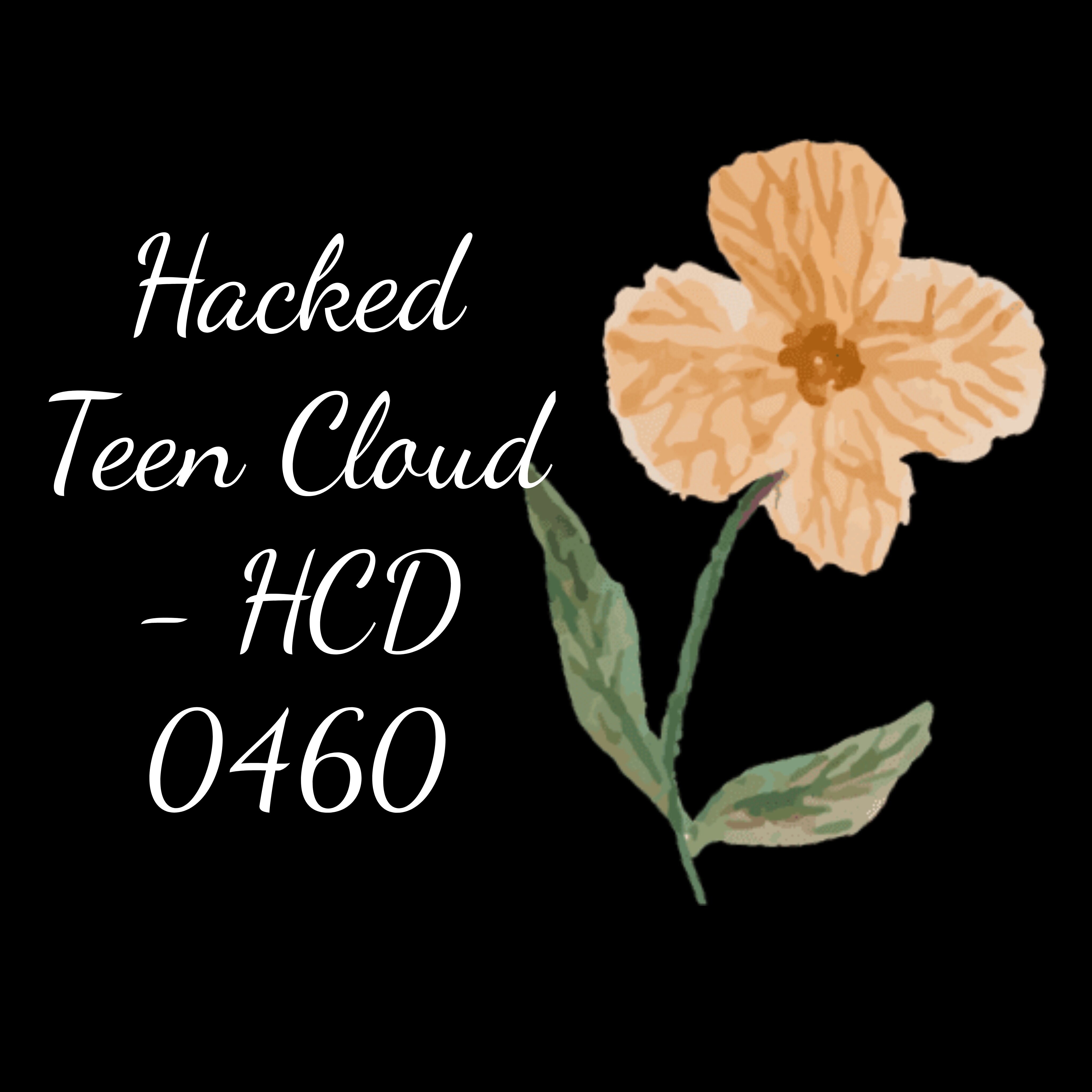 Hacked Teen Cloud - HCD 0460