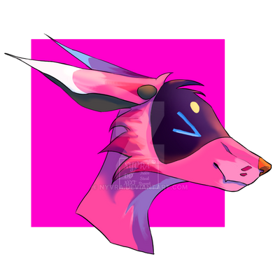 bdvn3.png